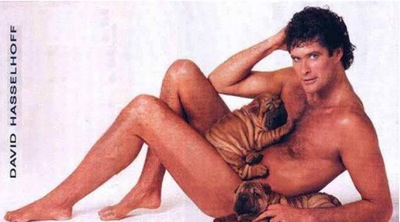 David-Hasselhoff