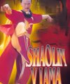Asian-Film-Shaolin