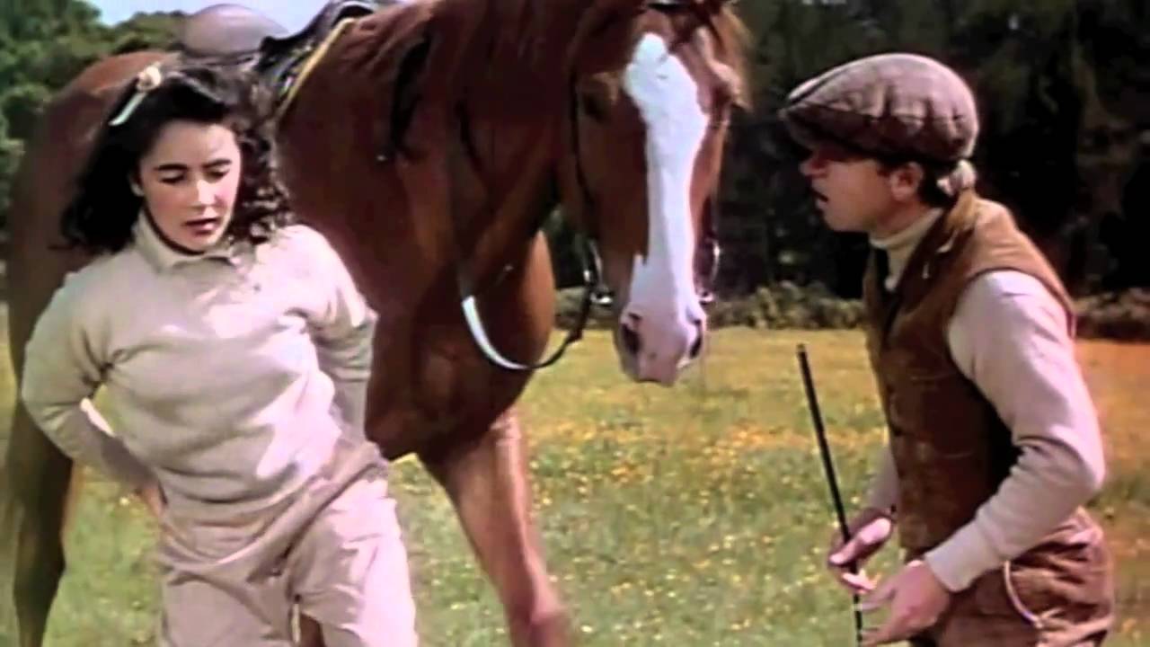 National Velvet a great oldfashioned family movie The Movie Blog