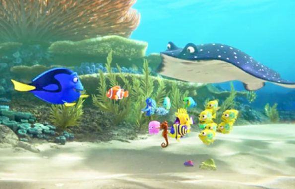 There is a nice variety of fun colorful sea creatures