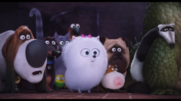 The colorful and fun animals of The Secret Life of Pets