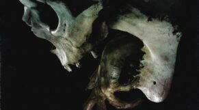 Evil Dead Rise