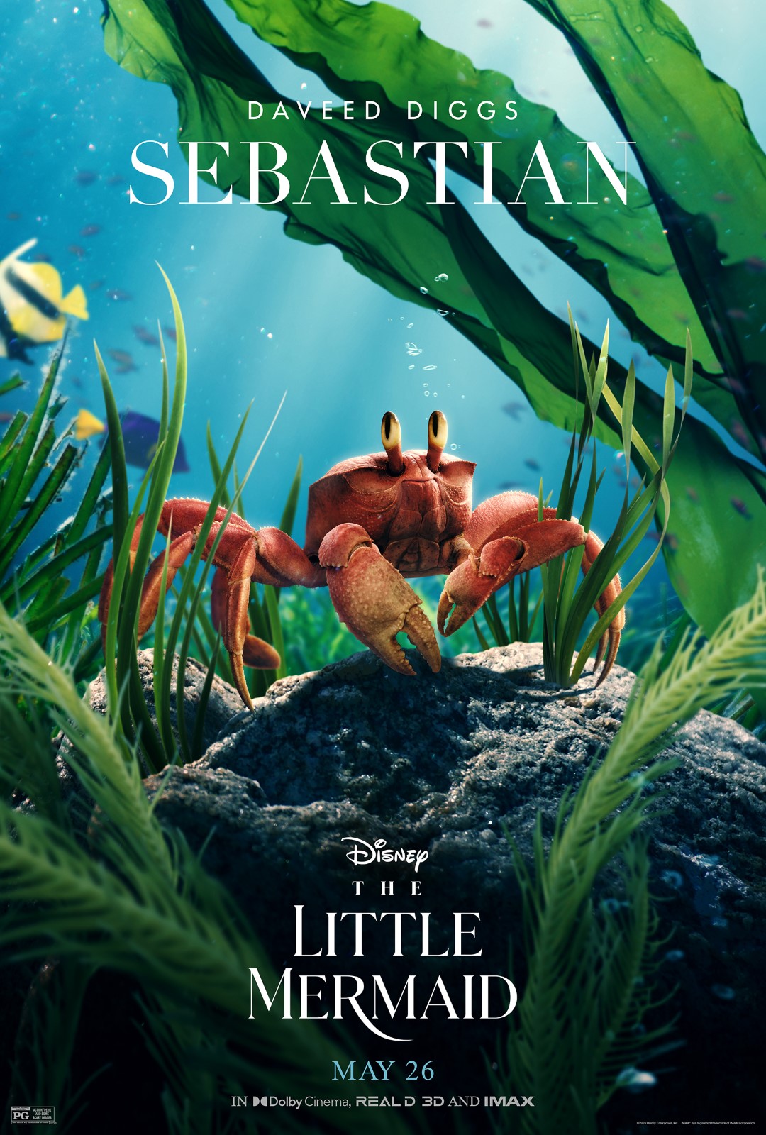 The Little Mermaid_CharacterSeries_Sebastian_v2_Lg_The Movie Blog The Movie Blog