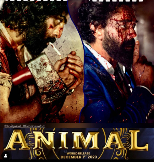Animal poster