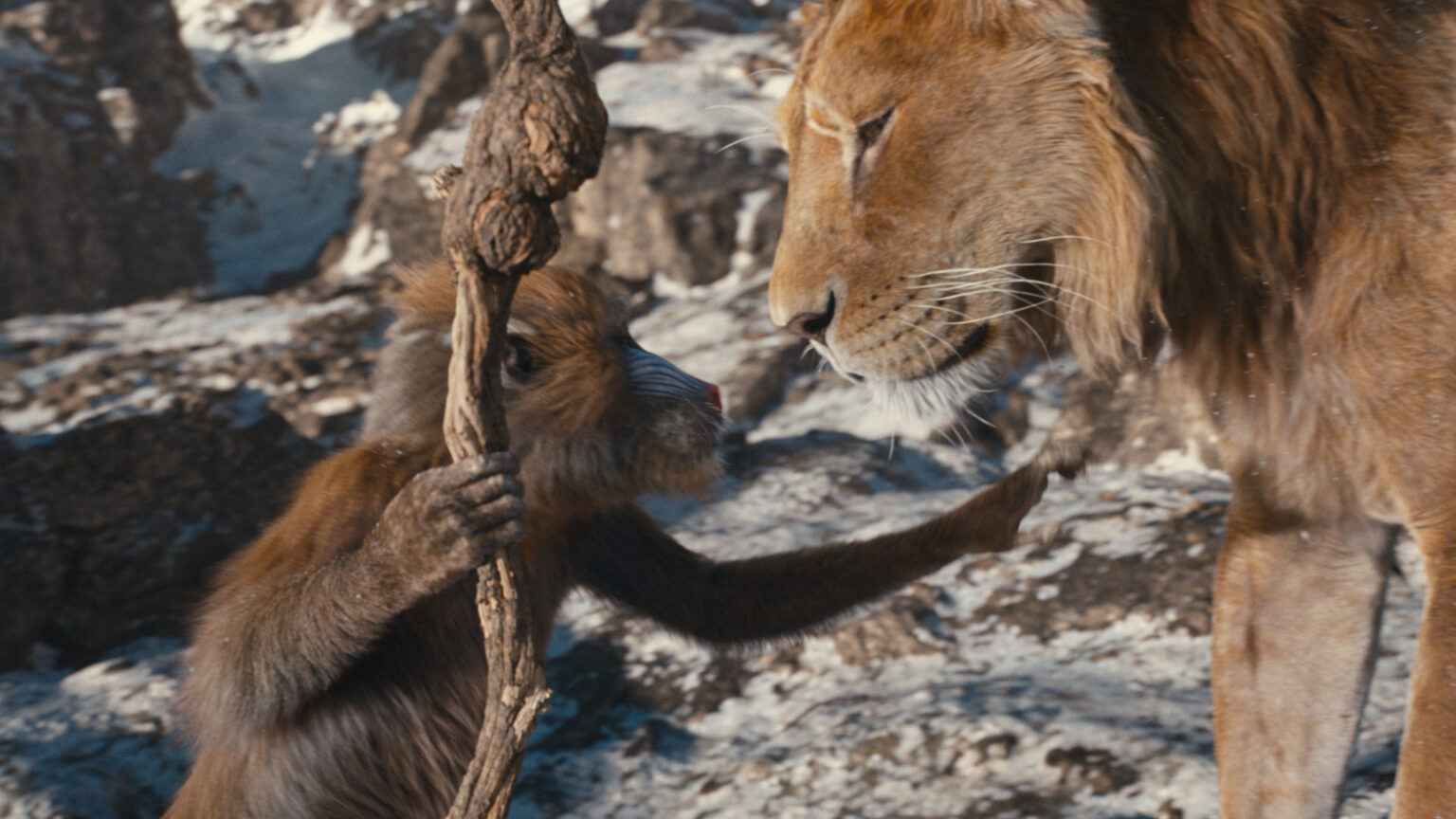 The Teaser for Mufasa: The Lion King Is Here | The Movie Blog