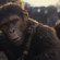 Review: Kingdom Of The Planet of the Apes