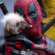 Tickets for “Deadpool and Wolverine” Now on Sale!
