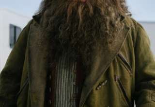 Nick Frost Hagrid Harry Potter HBO
