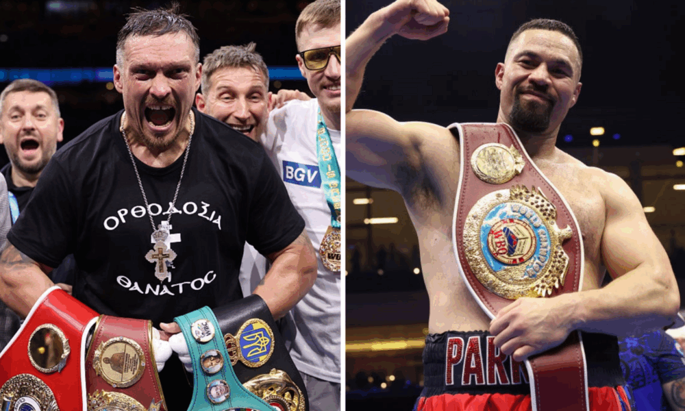 Usyk vs Parker