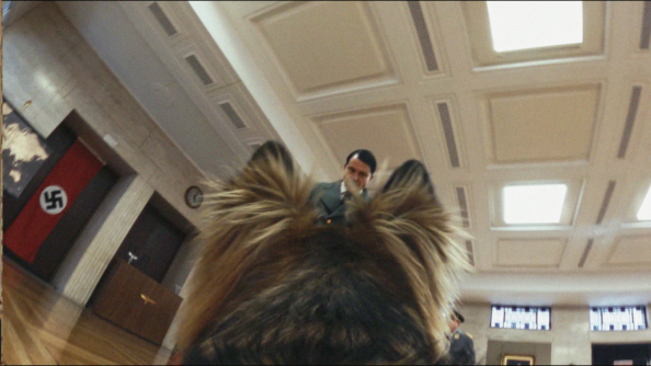 Blondi-eye view of Hitler in the bunker.