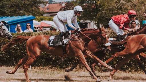 Horse Racing Betting Guide for Melbet Mongolia Players