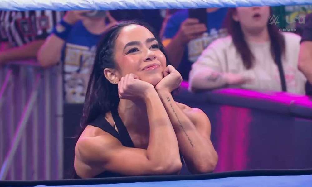 AJ Lee Anime with Toei