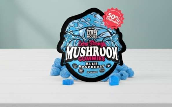 Magic Mushroom Gummies Review for Movie Lovers A Psychedelic Twist on Modern Cinema