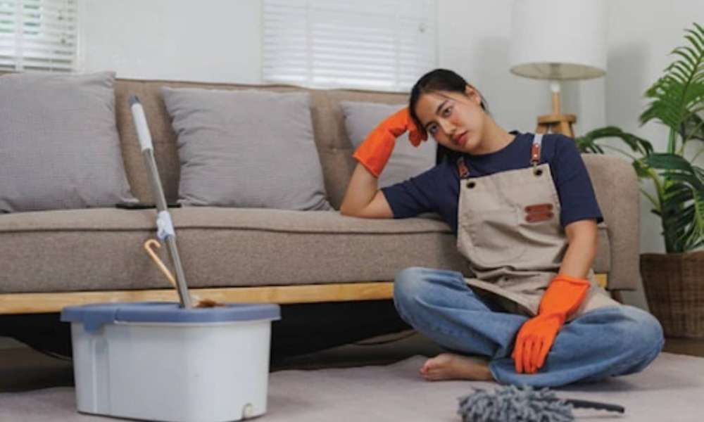 How to Get Pee Smell Out of a Couch A Practical Guide for a Fresh Comfortable Home (Custom)