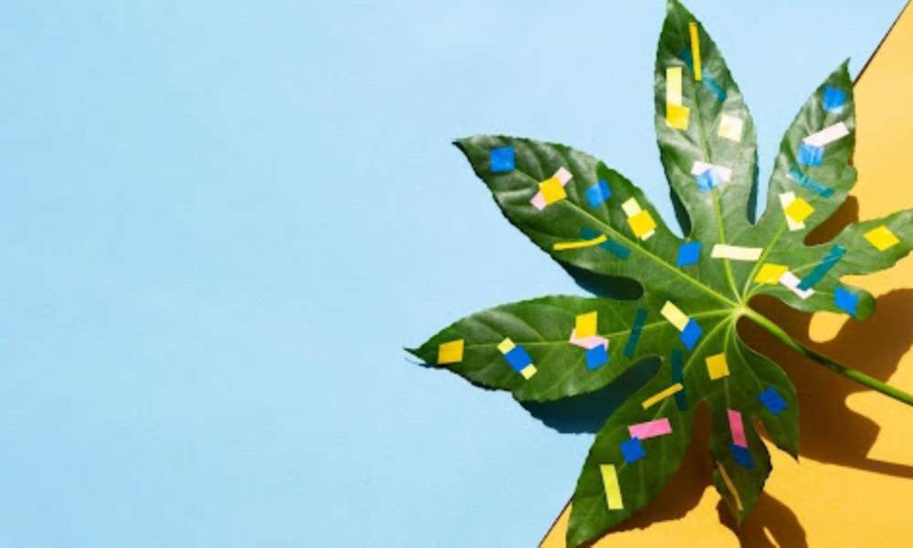 Breaking Taboos_ How the UK's Creative Community Views Cannabis Products