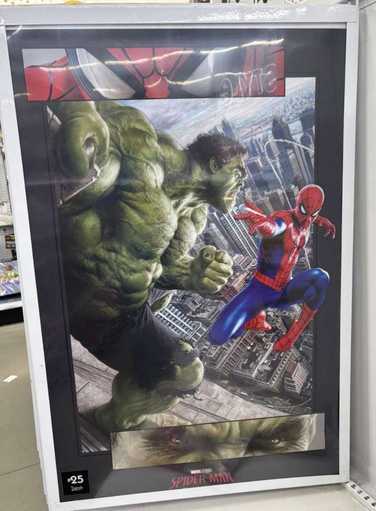 Spider-Man vs Hulk Poster Brand New Day