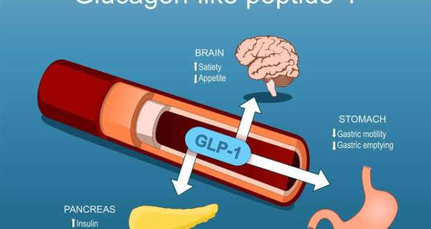 GLP1 Post