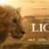 National Geographic Reveals Trailer for Epic Lion Docuseries